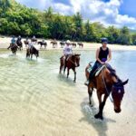 Hurghada: Desert and Sea Horseback Riding Tour with Transfer - What to Expect: The Day Unfolded