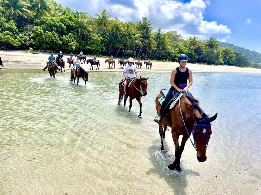 Hurghada: Desert and Sea Horseback Riding Tour with Transfer - What to Expect: The Day Unfolded
