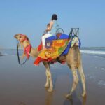 Hurghada: Desert & Beach Camel Ride with Transfers - The Scenic Highlights