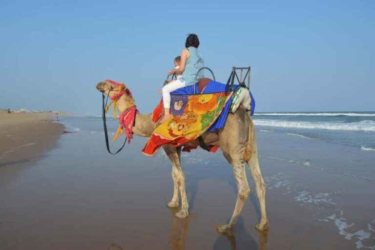 Hurghada: Desert & Beach Camel Ride with Transfers - The Scenic Highlights