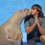 Hurghada: Dolphin World Show with Walruses and Pickup - Who Will Love This Tour?