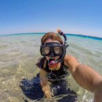 Hurghada: Full-Day Snorkeling Tour in Sharm El Naga w/Lunch - What Makes This Tour Stand Out?