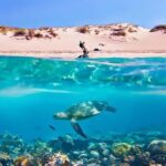 Hurghada: Giftun Island with breakfast, lunch & Water Sports - An Overview of the Orange Bay Island Experience