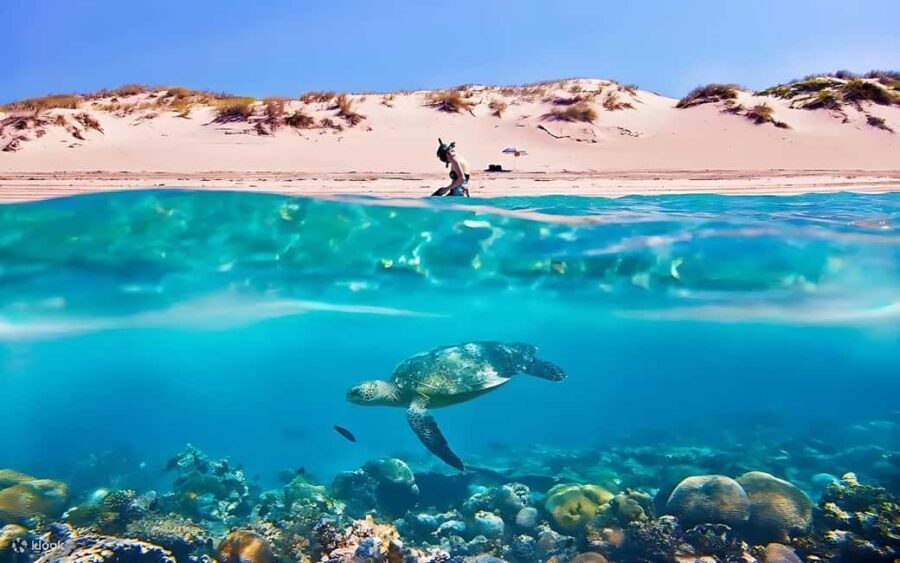 Hurghada: Giftun Island with breakfast, lunch & Water Sports - An Overview of the Orange Bay Island Experience
