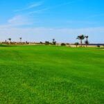 Hurghada: Golfing at the Madinat Makadi Golf Resort - An In-Depth Look at the Golf Experience at Madinat Makadi
