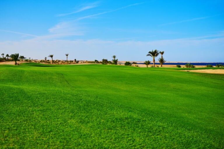 Hurghada: Golfing at the Madinat Makadi Golf Resort - An In-Depth Look at the Golf Experience at Madinat Makadi