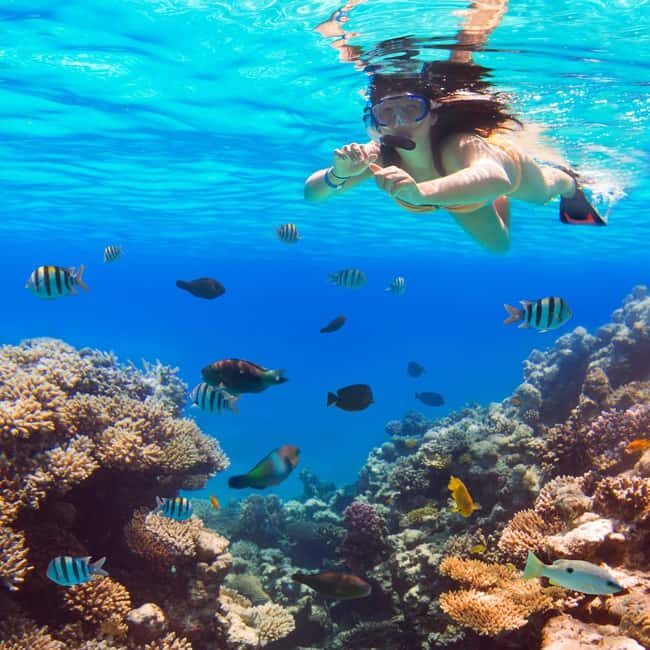 Hurghada: Luxury Giftun island w/snorkeling/lunch & Massage - Final Thoughts