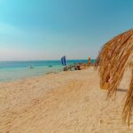 Hurghada: Magawish Island Speedboat W Snorkelling & Lunch - The Experience’s Strengths and Minor Drawbacks