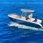 Hurghada: Orange Bay Dolphin Watching, Snorkeling & Lunch - Key Points