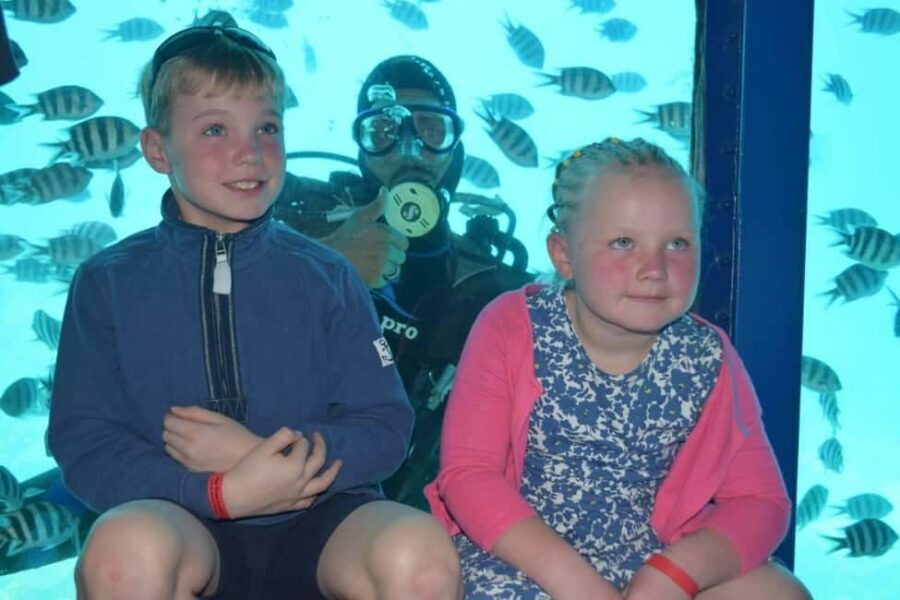 Hurghada: Orca Hyperion Semi-Submarine Tour with Snorkeling - What to Expect on the Orca Hyperion Semi-Submarine Tour