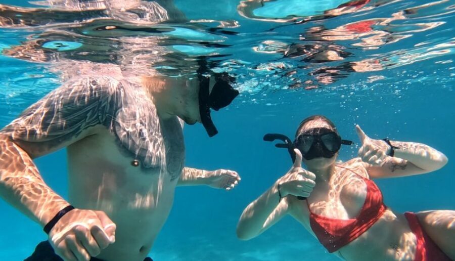 Hurghada: Private Speedboat to Dolphin House with Pickup - A Closer Look at the Experience