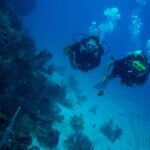 Hurghada, Professionals Diving in Open Water Tour with Lunch - Transportation and Comfort