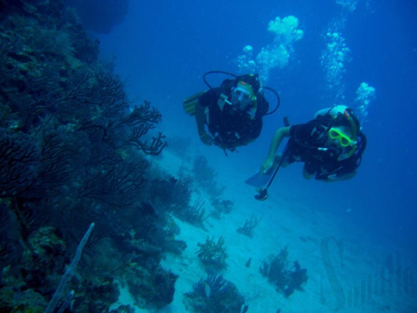 Hurghada, Professionals Diving in Open Water Tour with Lunch - Transportation and Comfort