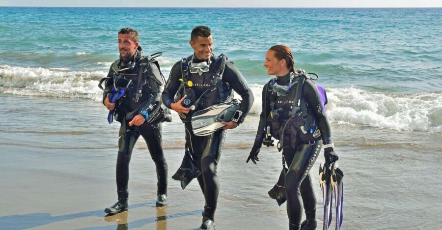Hurghada- RedSea: Shore Diving with Dolphins and Transfers - Why This Tour Is Worth It