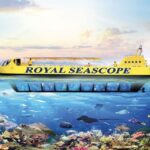 Hurghada: Royal Seascope Submarine Cruise with Snorkel Stop - The Underwater Viewing Experience: What You’ll See
