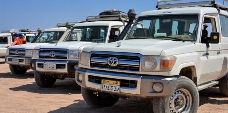 Hurghada: Safari Jeep, Buggy, Camel, Quad, Bedouin Dinner - Practical Tips for Making the Most of Your Tour