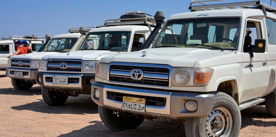 Hurghada: Safari Jeep, Buggy, Camel, Quad, Bedouin Dinner - Practical Tips for Making the Most of Your Tour