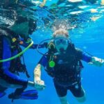 Hurghada: Scuba Diving cruise with lunch & pickup - Pricing and Value