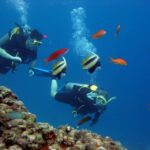 Hurghada Scuba Diving Trip with Pick-up, Lunch - Equipment and Inclusions: What’s Covered