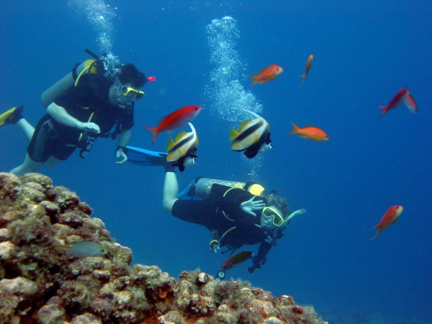 Hurghada Scuba Diving Trip with Pick-up, Lunch - Equipment and Inclusions: What’s Covered