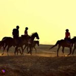 Hurghada: Sea & Desert Horse Tour, Stargazing, Dinner & Show - The Experience: What Sets This Tour Apart?