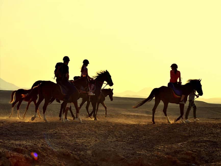 Hurghada: Sea & Desert Horse Tour, Stargazing, Dinner & Show - The Experience: What Sets This Tour Apart?