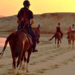 Hurghada: Sunset Sea, Desert Horse W Opt, Dinner, Stargazing - Practical Considerations and Tips