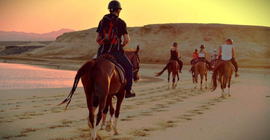 Hurghada: Sunset Sea, Desert Horse W Opt, Dinner, Stargazing - Practical Considerations and Tips