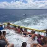 Huskisson: Dolphin Cruise & Boom Netting Experience - Exploring the Jervis Bay Dolphin Cruise & Boom Netting Experience