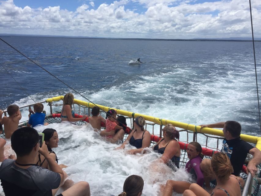 Huskisson: Dolphin Cruise & Boom Netting Experience - Exploring the Jervis Bay Dolphin Cruise & Boom Netting Experience