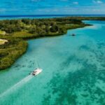 Ile Aux Cerfs Catamaran Cruise with Pick-up/Drop-off & Lunch - Who Is This Tour Best For?