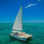 Île aux Cerfs : Private Catamaran Cruise with Gourmet Lunch - What Makes This Tour Stand Out?
