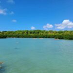 Ile d Ambre Kayaking - Why This Tour Is Worth It