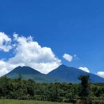 Incredible gorilla Trekking experience in Rwanda - What Makes This Tour Stand Out?