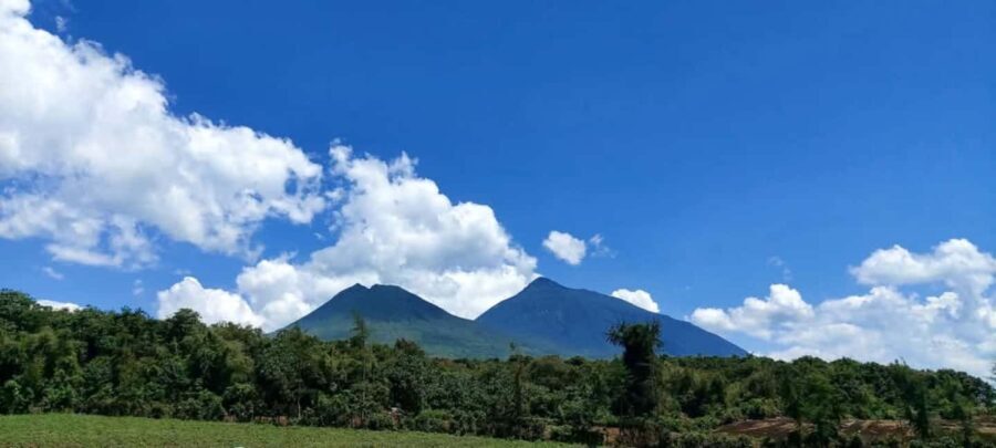 Incredible gorilla Trekking experience in Rwanda - What Makes This Tour Stand Out?