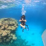 Intro Diving Beginner and Discover Red Sea Underwater - The Marine Environment