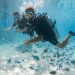 Introductory Dive in Bora Bora (afternoon) - Why This Tour Is Perfect for the Right Traveler