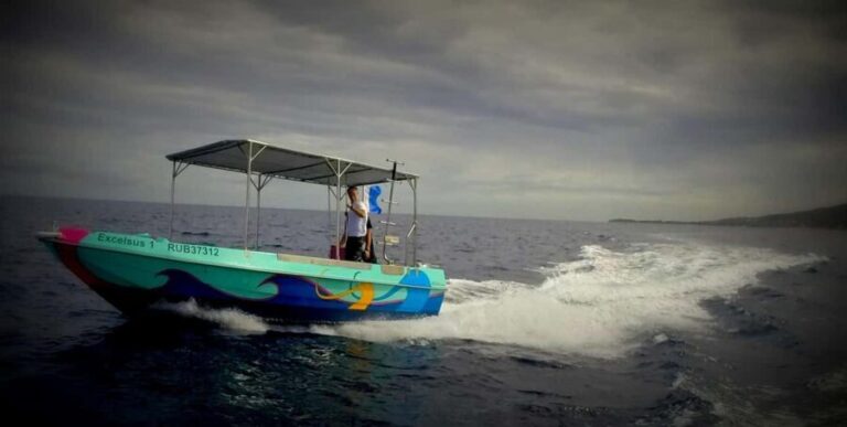 Introductory dive, to get started! - Who Will Love This Tour?