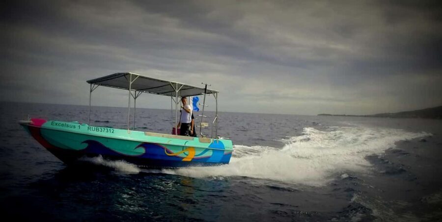 Introductory dive, to get started! - Who Will Love This Tour?