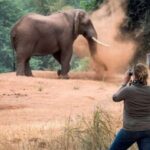Isimangaliso Day Tour & Hippo & Croc Boat Cruise From Durban - Detailed Experience Breakdown