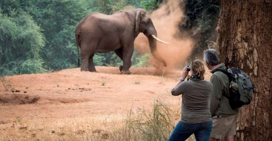 Isimangaliso Day Tour & Hippo & Croc Boat Cruise From Durban - Detailed Experience Breakdown