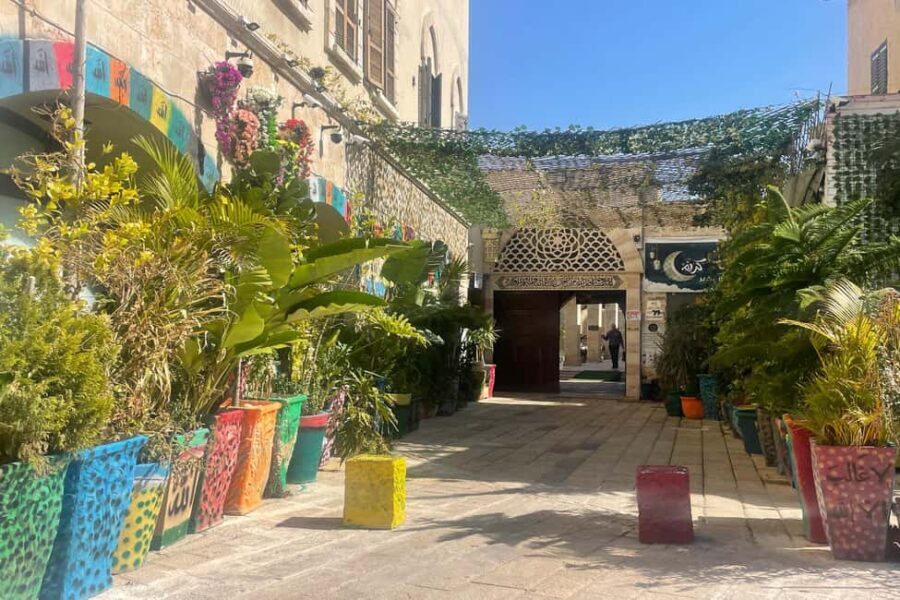 Jaffa: Old City, Port & Shuk Hapishpishim Walking Tour - Who Will Love This Tour?