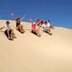 Japanese Tour: Port Stephens Dolphins, Koala & Sand Boarding - Practical Aspects: What to Expect