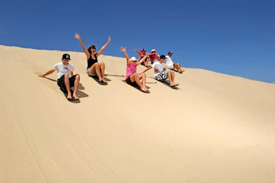 Japanese Tour: Port Stephens Dolphins, Koala & Sand Boarding - Practical Aspects: What to Expect