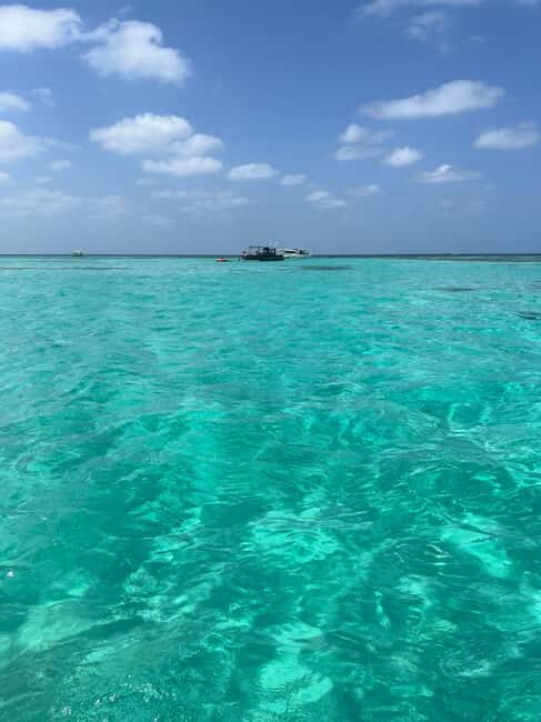 Jeddah: Bayada Island Boat Trip with Donut Ride - Who Will Love This Experience?