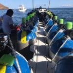 Jeddah's Oceanic Wonders: Dive into the Red Sea - The Underwater Landscape
