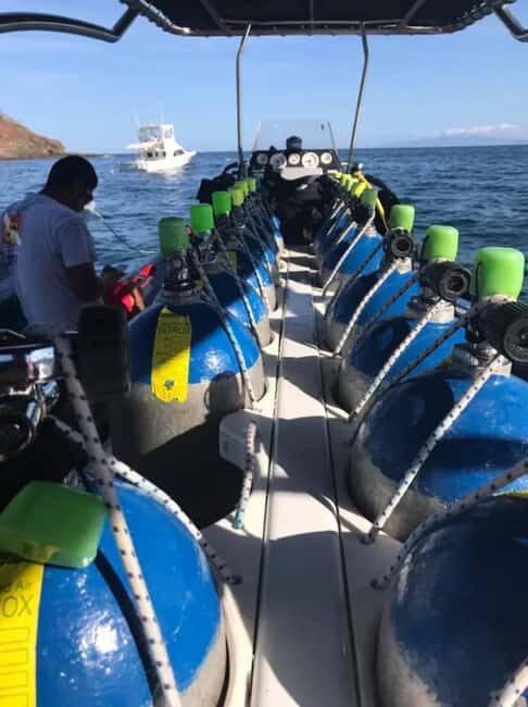 Jeddah's Oceanic Wonders: Dive into the Red Sea - The Underwater Landscape