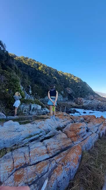 Jeffreys Bay: Storms River Nature Reserve Guided Day Trip - The Value of the Experience