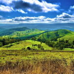Jenolan Caves Blue Mountains Day Tour + River cruise - Who Is This Tour Best For?