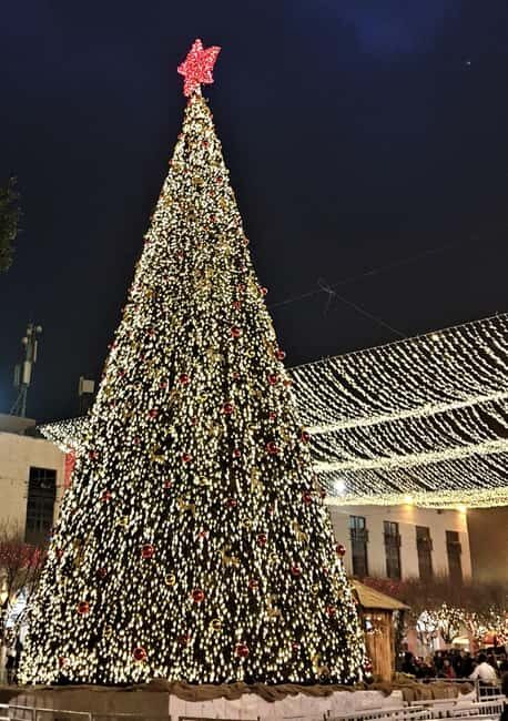 Jerusalem/Tel Aviv: Bethlehem and Jerusalem Private Tour - Who Will Love This Tour?